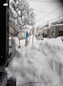 16.12.23大雪.jpg