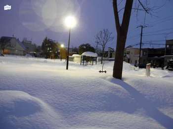 17.1.19.公園の雪.JPG