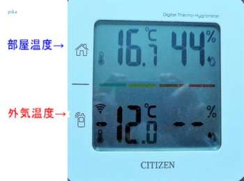 17.1.22.-12℃.JPG